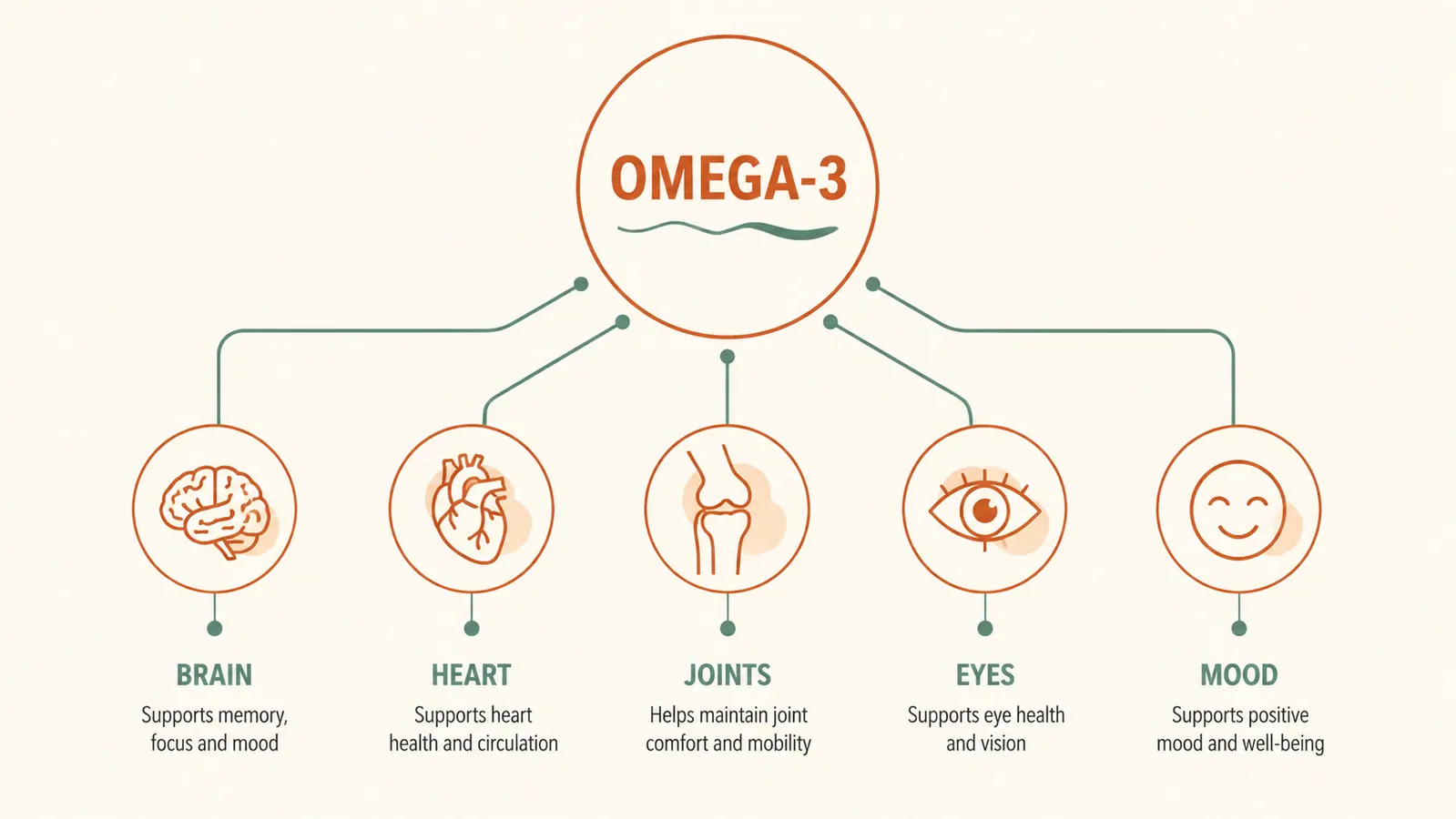Simple illustrated chart showing omega-3 benefits mapped to body systems: brain, heart, joints, eyes, and mood