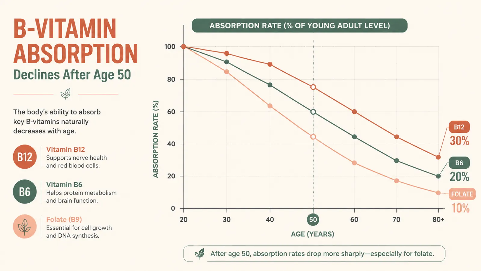 Illustrated chart showing B-vitamin absorption declining with age, with a line graph and simple labels for B12, B6, and folate