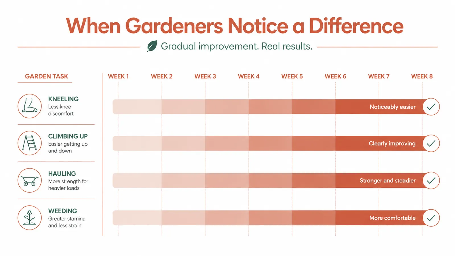 Chart showing a simple timeline of joint comfort improvement over 8 weeks on glucosamine chondroitin, with gardening activities listed on the Y axis